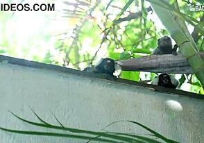 พูดคุยเรื่อง Menzorra เซ็กส์ก้นห้องหลังแน่นๆ! 😜