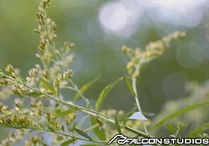 अरे, देखो एडवर्ड टेरेंट अजनबी की लंड चूसता है!