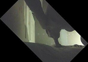 a hung stud with full balls gets drained at the glory hole