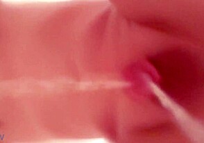 יפני חובב חוקר מסורות אסיאתיות ייחודיות