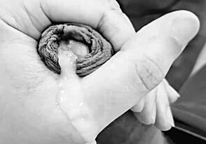 ノビーニョドタードがゴンザンドゴストーソ、ボールドなソロラティーノ熱