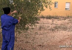 gay resort ep 1 - chicos getting real close and wilder