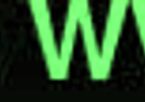 Casado Gay: Unveiling Hidden Amateur Desires in Secret