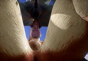 النمور يخلي السحالي يقذف مرارا في لعب شرجي جامح