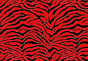 i’m torn picking between petite and big booty in this battle