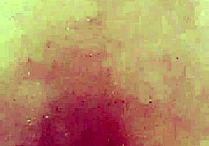 파벨라 남자 어제 세게 박아버렸어