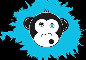 Man, long-legged spinner gettin’ tossed round in hotel!