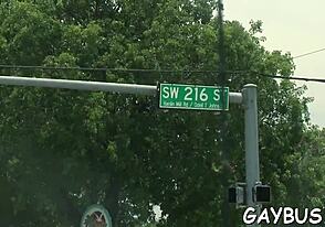 Watch Homo Bear Sex!