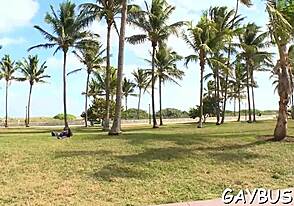 Hey bear, wanna growl through these steamy movie scenes?