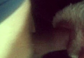 Chupei Gostoso o Pinto do Moreno com Tesão