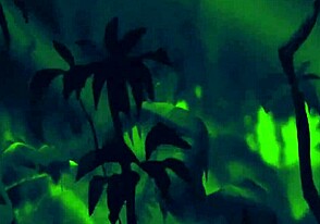 Sexy girl has sex in a hot and steamy jungle setting