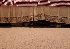 Searching for Something Tasty to Enjoy Today