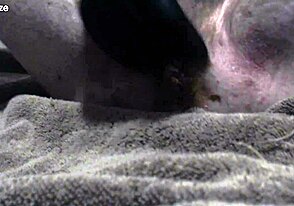 Straight Osofroze97 Fingers Virgin Hole for GF